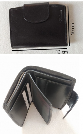 P�nsk� pen�enka Delami pp2